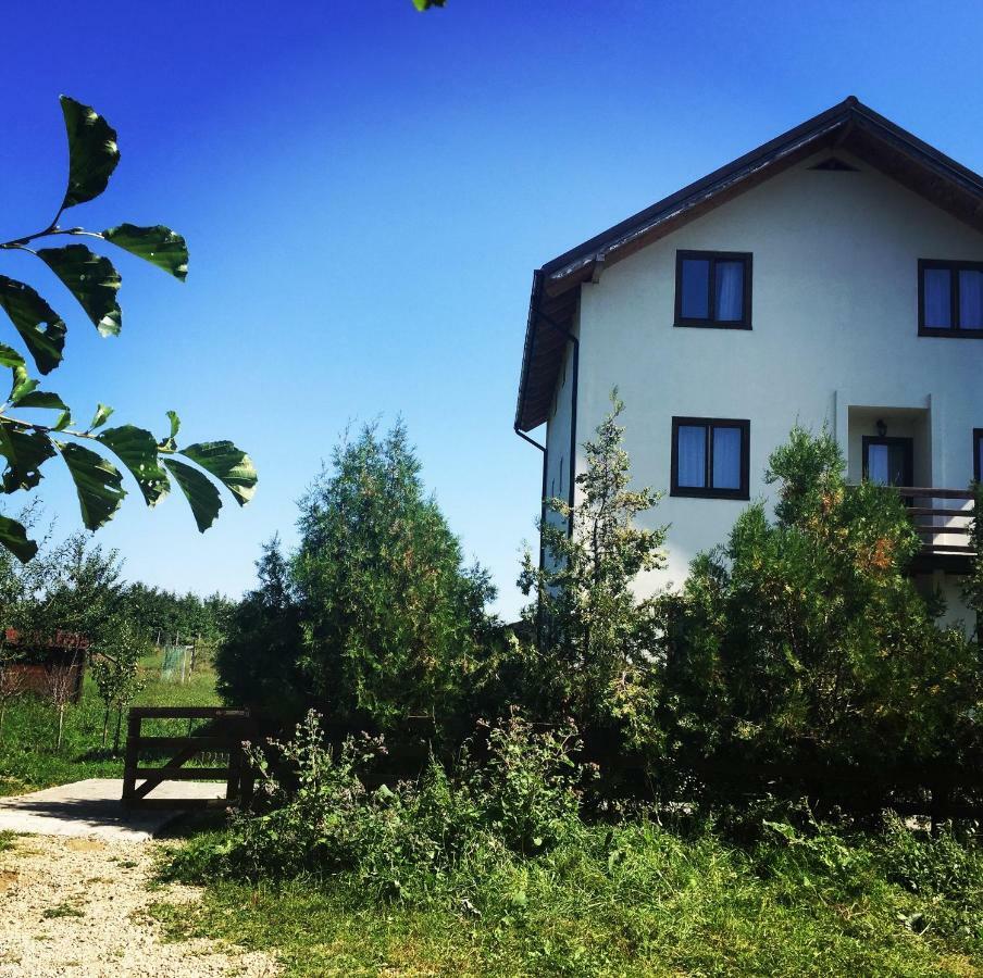 Bran White Clouds House And Chalet 外观 照片