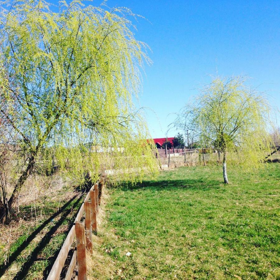 Bran White Clouds House And Chalet 外观 照片